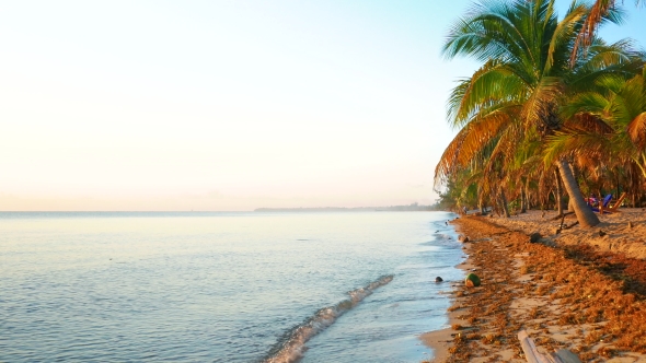 Tranquil Morning Scene From the Beach