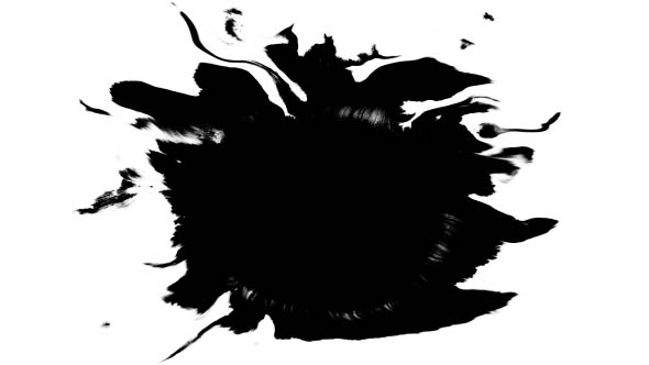 Ink Drops on Wet Paper 20