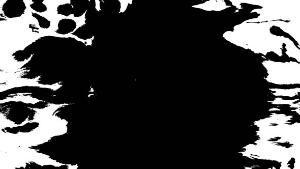 Many Ink Drops on Wet Paper 04