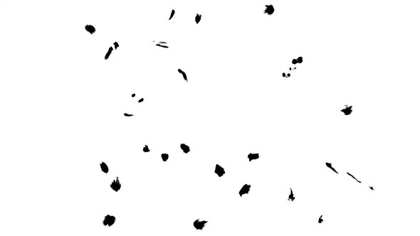 Ink Drops on Wet Paper 06