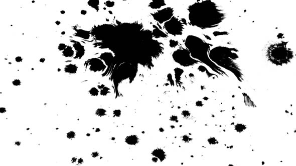 Many Ink Drops on Wet Paper 05