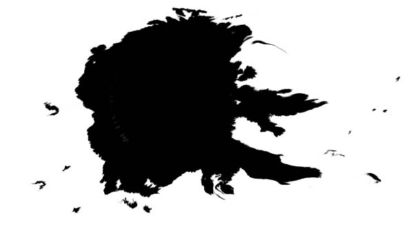 Ink Drops on Wet Paper 15