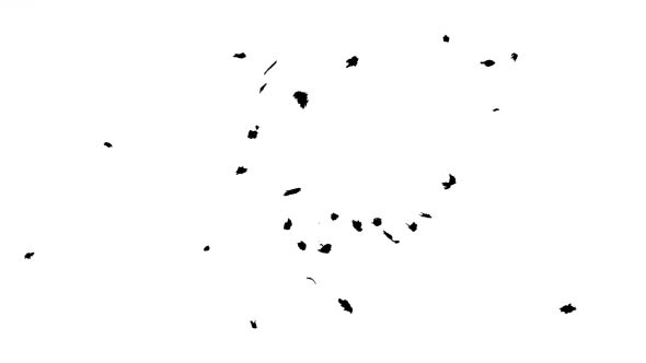 Ink Drops on Wet Paper 04