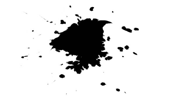 Ink Drops on Wet Paper 41