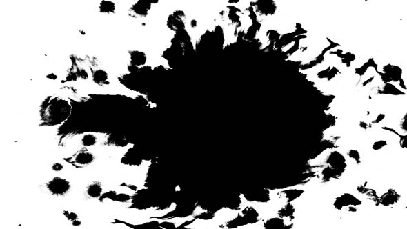 Many Ink Drops on Wet Paper 02