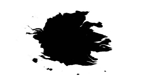 Ink Drops on Wet Paper 33