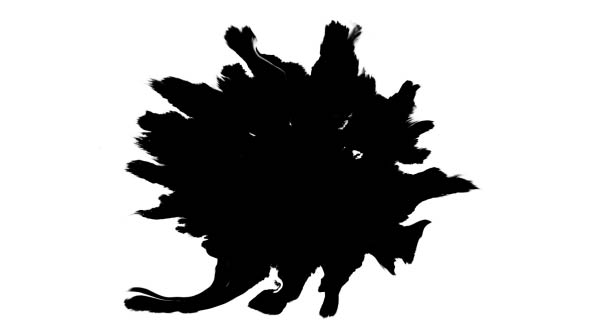 Ink Drops on Wet Paper 19