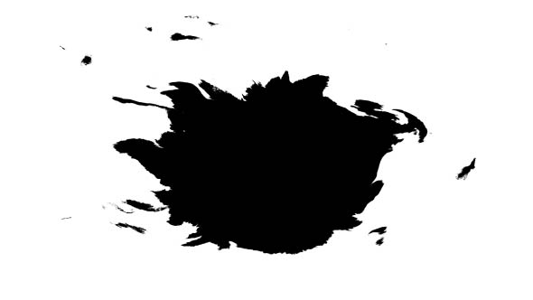 Ink Drops on Wet Paper 30