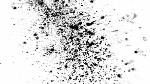 Many Ink Drops on Wet Paper 06