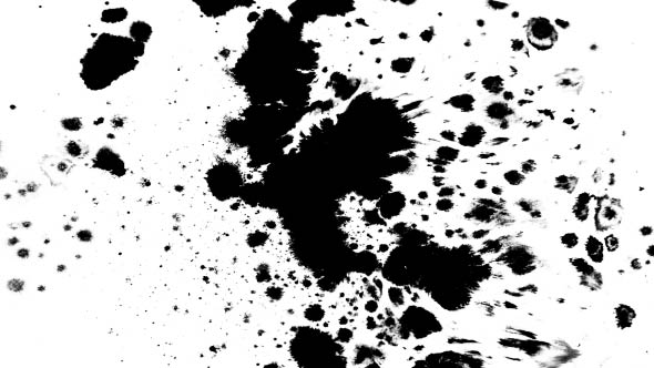 Many Ink Drops on Wet Paper 12