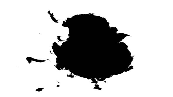 Ink Drops on Wet Paper 16