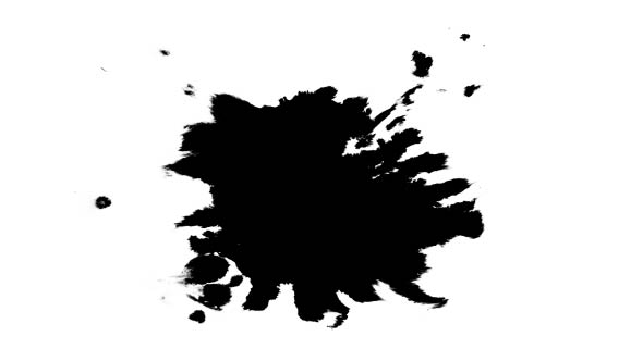 Ink Drops on Wet Paper 42