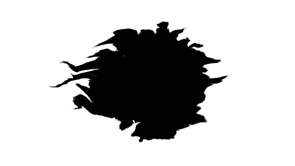 Ink Drops on Wet Paper 34