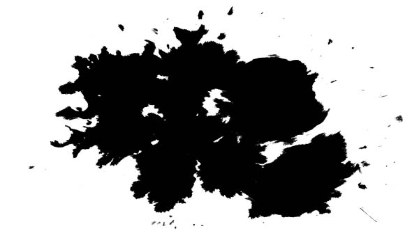 Several Ink Drops on the Wet Paper 02