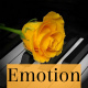 Inspiring Piano and Emotional Orchestra Pack
