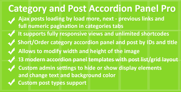 Category and Post Accordion Panel Pro