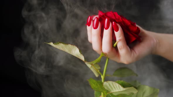 Crop Woman with Red Nails and Rose Flower