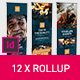 Rollup Stand Banner Display Digital Dark 12x Indesign Template - GraphicRiver Item for Sale