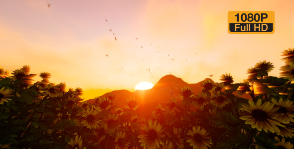 SunFlowers Landscape alt