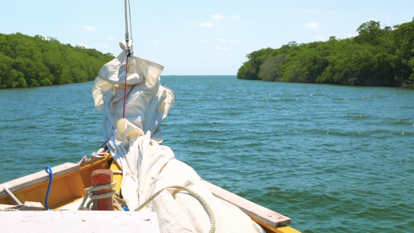 Front Look at Sail Boat on a River