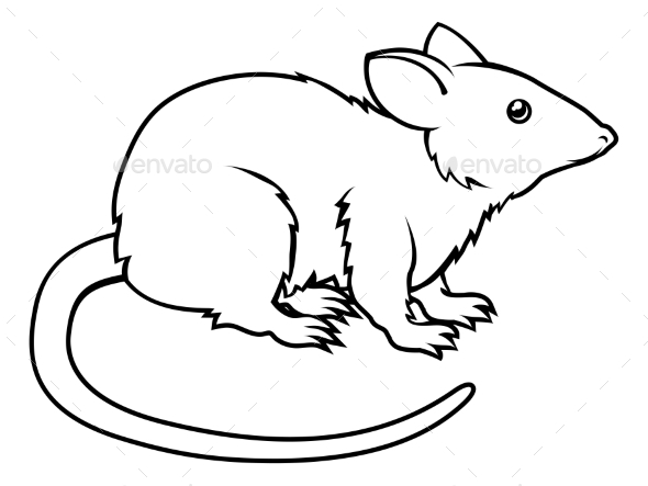 Stylized Rat Illustration