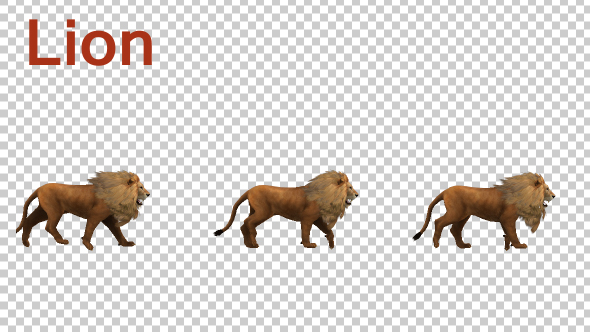 Lion Fast Walk Animation alt