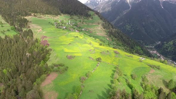 Aerial Yellow Tableland Meadows