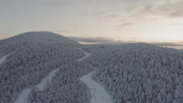 Old grown in ski trails wind around the top of a snow crusted mountain AERIAL