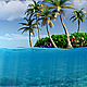 Tropical Underwater Background - VideoHive Item for Sale