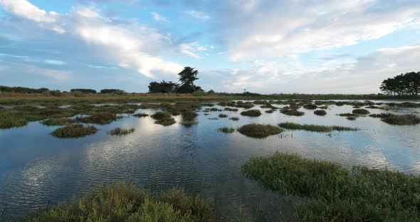 Wild landscape near Penerf, Morbihan department, Brittany, France