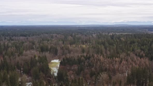 Idyllic house in the middle of a forest with the alp mountains in the background - zoomed out to hav