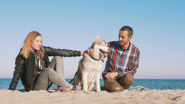 Young Caucasian Couple on Beach with Siberian Husky Dog Slow Motion