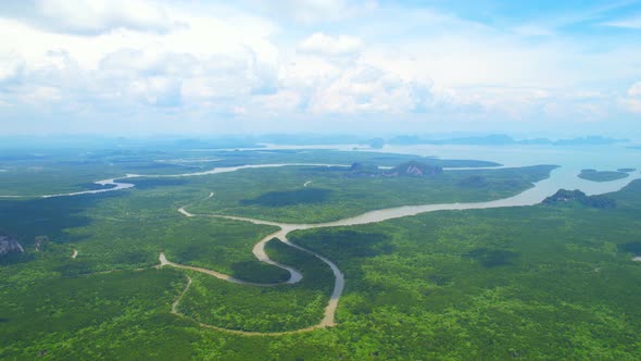 Drones are flying over winding rivers and large mangrove forests