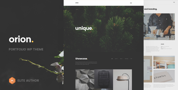 Introducing Orion: A Captivating and Elegant WordPress Theme for Your Portfolio