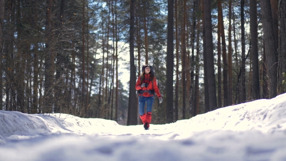 Beautiful Young Woman Hiking with a Backpack in Beautiful Winter Forest.
