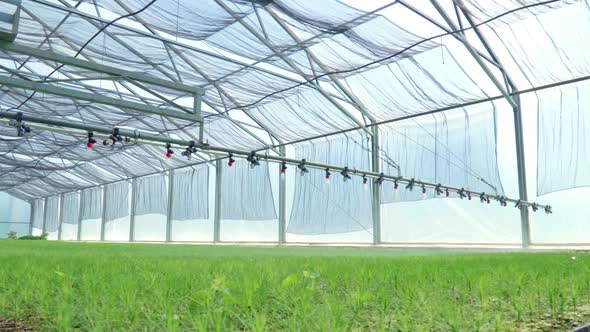 Watering Machine Irrigating Plants in Greenhouse. Agricultural Equipment