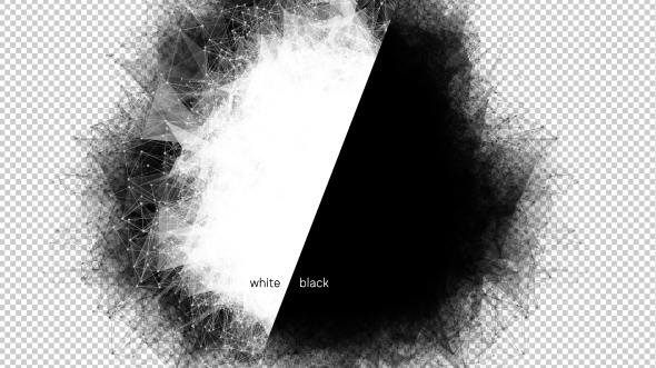 Network Morphing Black Hole and White Hole alt