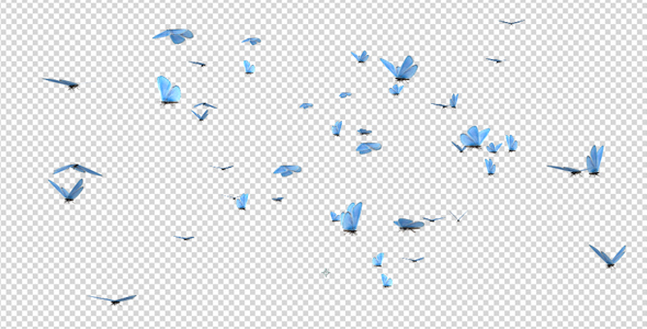 Butterfly Swarm - Blue Adonis alt