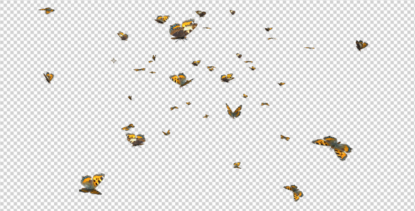 Butterfly Swarm - Eurasian Tortoiseshell alt