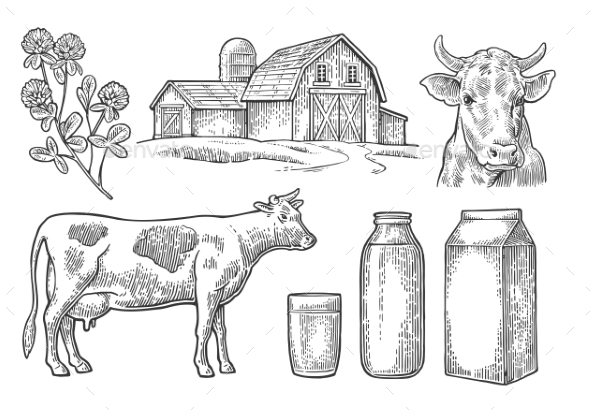 Farm and Milk Set