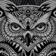 Owl Zen - GraphicRiver Item for Sale
