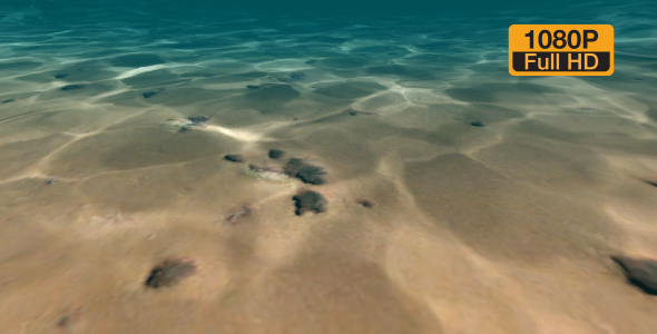 Underwater plants alt