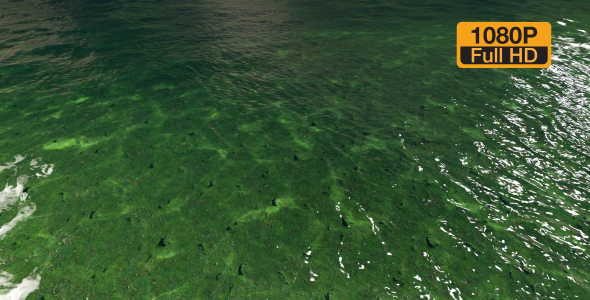 Clear water surface and below alt