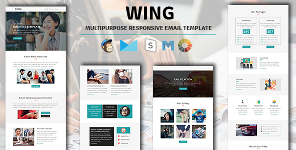 WING - Multipurpose Responsive Email Template with Stampready Builder Access