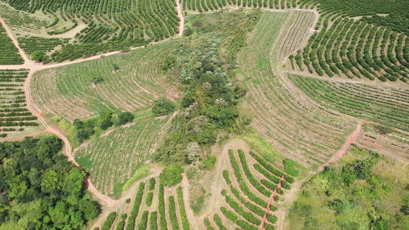 Farming landscape at countryside rural scenery.