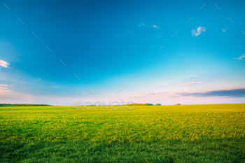 Agricultural Landscape. Countryside Rural Field Landscape Under / Photodune, Misc