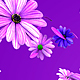 Falling Flowers Start Loop End - VideoHive Item for Sale