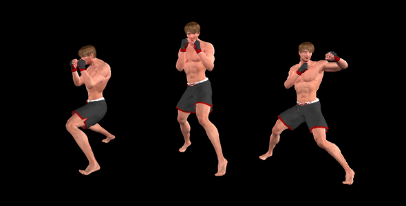 Martial Arts - Boxing Combo - X - European Fighter - Pack of 2 alt