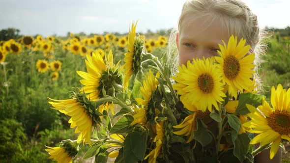 Child Girl With Sunflower Flowers