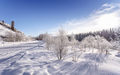 Winter snowy snag near a river , Russia, Siberia Altai - PhotoDune Item for Sale